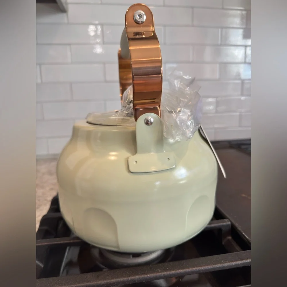 Hearth & Hand 2qt Stainless Steel Arch Cutout Teapot Serene Green- RARE FIND